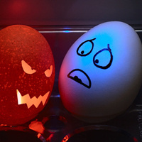 蛋蛋也为爱疯狂了