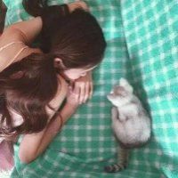 女生和猫.
