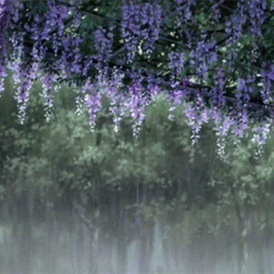 千鹤/雨天系列/我最喜欢下雨，因为雨天过后是晴天啊