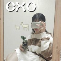 EXO王道