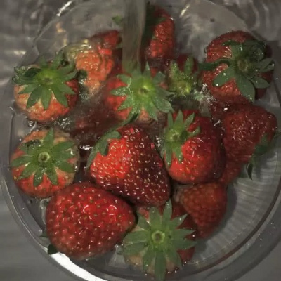 日常更图  草莓背景图?