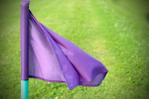 为什么没有紫色国旗_为什么国旗很少用紫色？