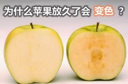 为什么苹果放久了会变色_苹果放久了还能吃吗？