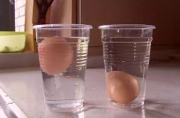 为什么鸡蛋会在盐水里浮起来？