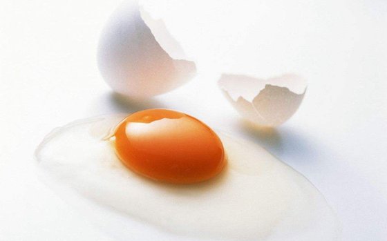 为什么鸡蛋煮熟会凝固？