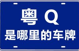 粤Q是哪里的车牌号_阳江的车牌号是粤什么？