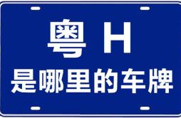 粤H是哪里的车牌号_肇庆的车牌号是粤什么？