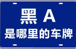 黑A是哪里的车牌号_哈尔滨的车牌号是黑什么？