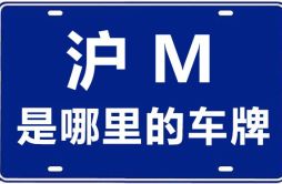 沪M是哪里的车牌号_上海车牌代码大全