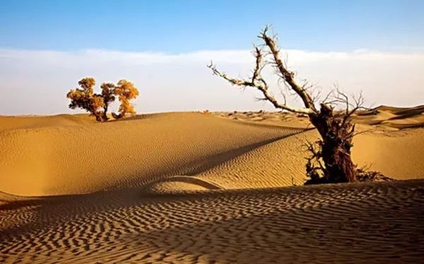 为什么沙漠里的沙子不能用于建筑？