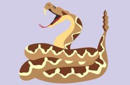 为什么响尾蛇的尾巴会响_响尾蛇尾巴会响的原理