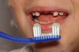 专用牙刷