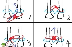 有个童鞋发帖问《倚天屠龙记》里的小昭带着脚镣怎么穿内裤，哥来告诉你，上图了。蓝色的是脚镣 红色的是内裤，紫色的是方向。