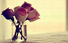 感动爱情：玫瑰玫瑰纸玫瑰