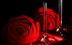 经典爱情：神秘的玫瑰花