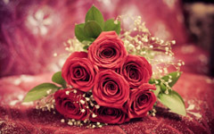 母爱故事：幸福的玫瑰花