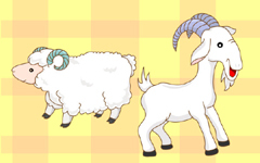 寓言故事：山羊与绵羊