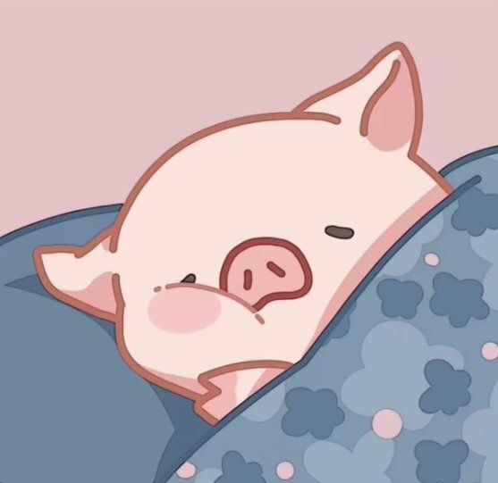 可爱小猪猪