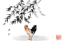 属鸡人，出生在农历几月，最容易替人背黑锅