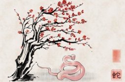 肖蛇2023年春节爱情运爱情运势推测 八字算感情运势