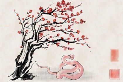 生肖蛇2023年春节大事件预言 运势走向分析