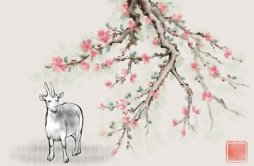 属羊的人2024年春节幸运吉祥的颜色和忌讳色查询