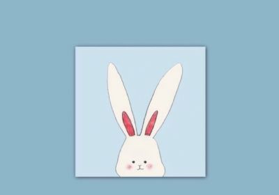 我最喜欢的动物——小兔子